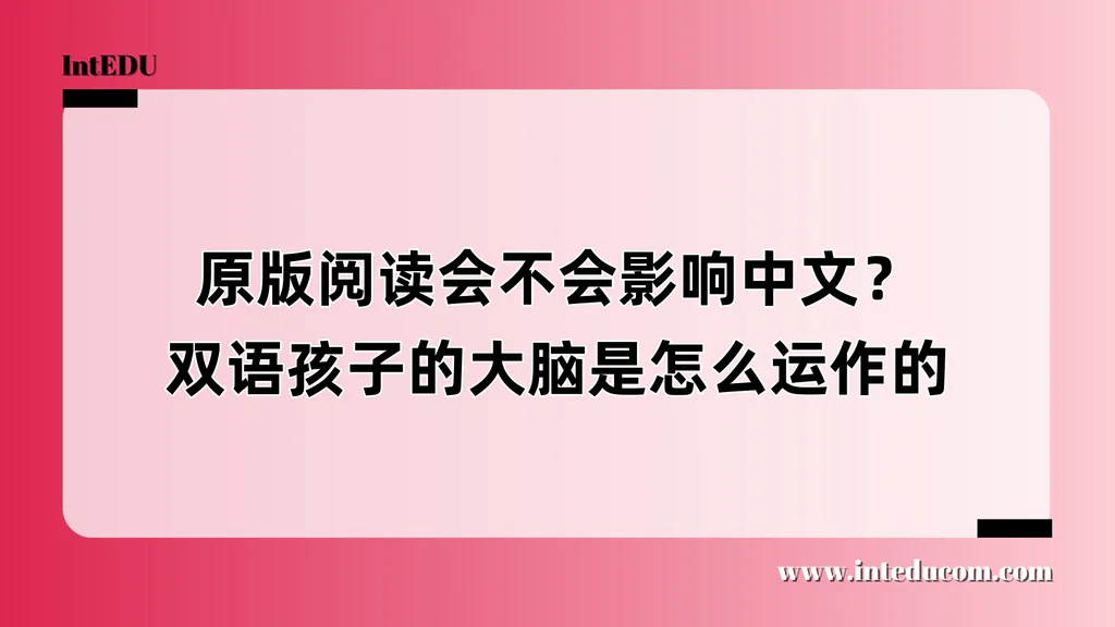 原版阅读会不会影响中文？双语孩子的大脑是怎么运作的