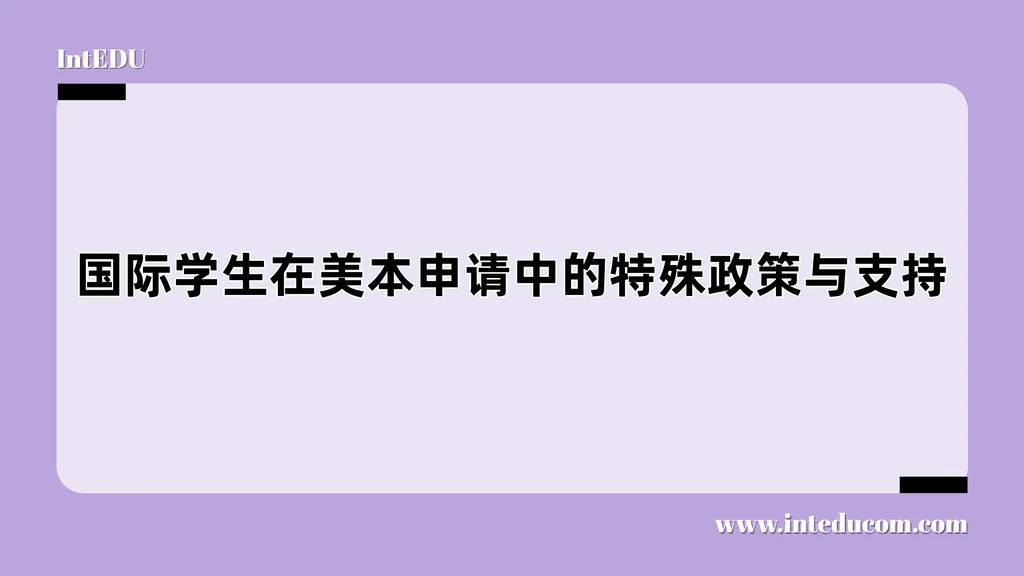 国际学生在美本申请中的特殊政策与支持