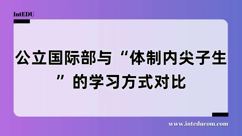 公立国际部与“体制内尖子生”的学习方式对比