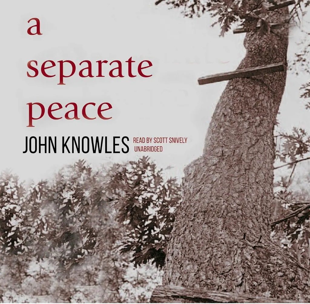 A Separate Peace（一个人的和平 / 独自的平静）