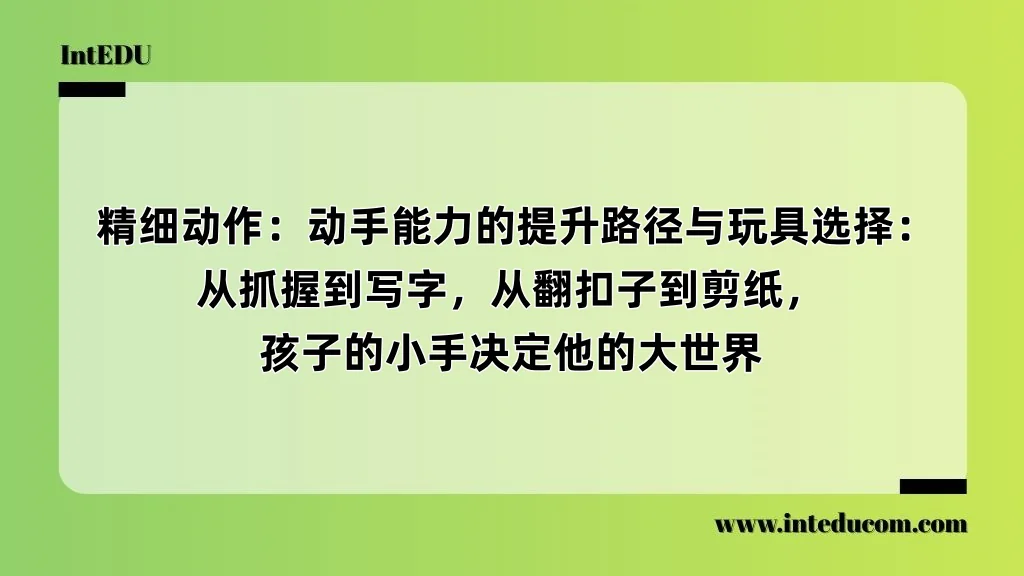  精细动作：动手能力的提升路径与玩具选择