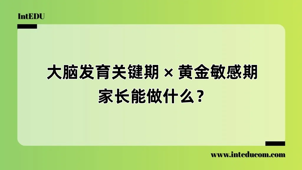 大脑发育关键期、黄金敏感期---家长能做什么？