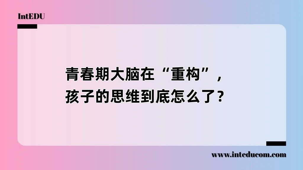 青春期大脑在“重构”，孩子的思维到底怎么了？