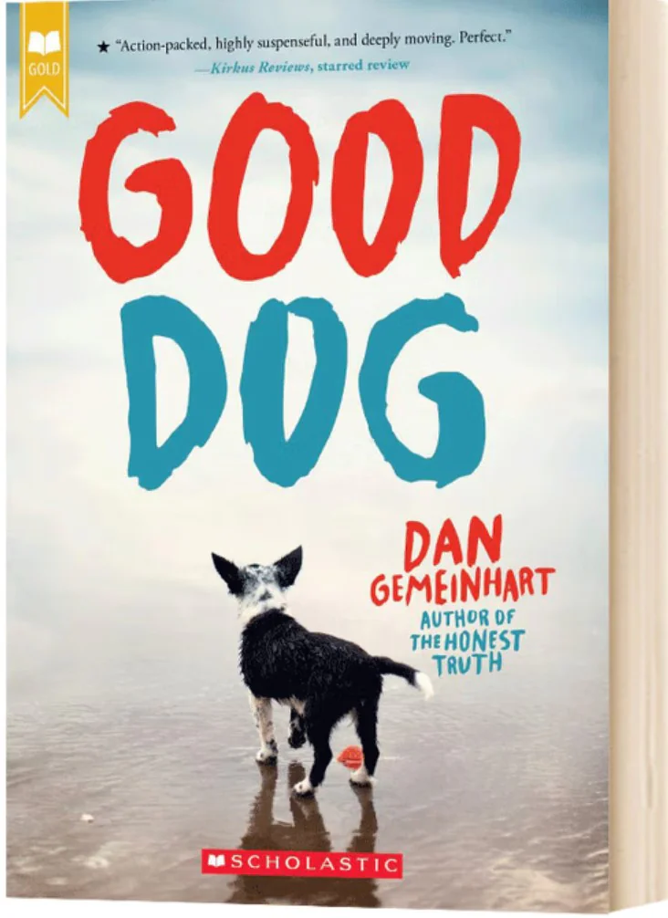 Dan Gemeinhart  作品        