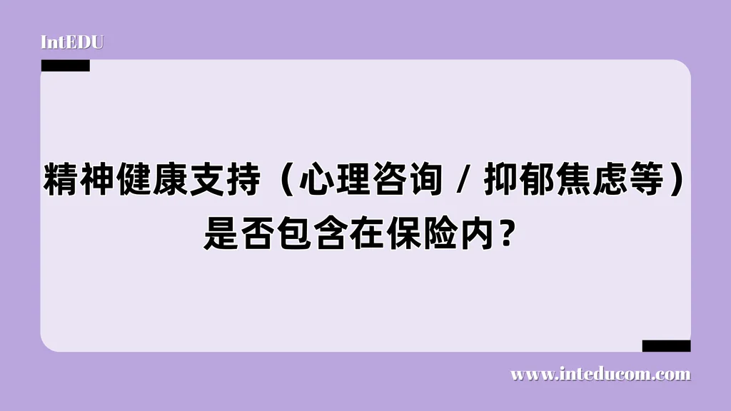  精神健康支持（心理咨询 / 抑郁焦虑等）是否包含在保险内？