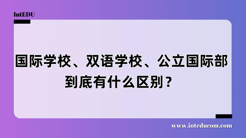 国际学校 vs 双语学校 vs 公立校国际部：家长绕不过的三大核心选择