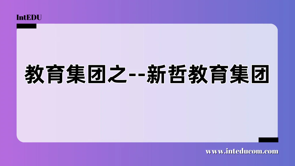 教育集团之--新哲教育集团