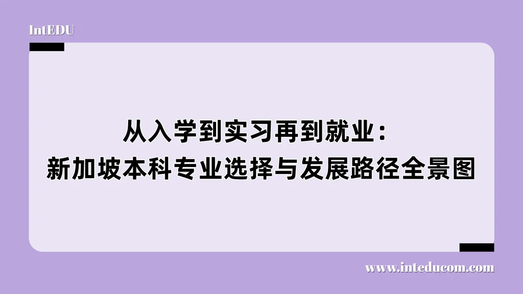 从入学到实习再到就业：新加坡本科专业选择与发展路径全景图