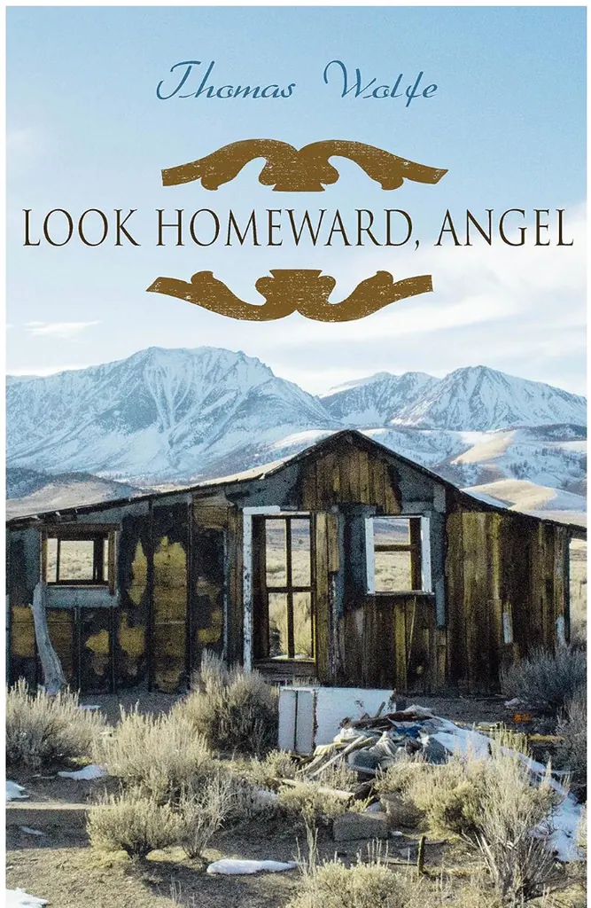 Look Homeward, Angel: A Story of the Buried Life（《回望家园，天使》）