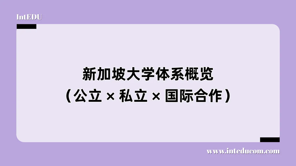 新加坡大学体系概览（公立 × 私立 × 国际合作）