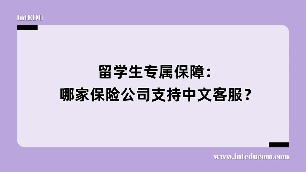 留学生专属保障：哪家保险公司支持中文客服？