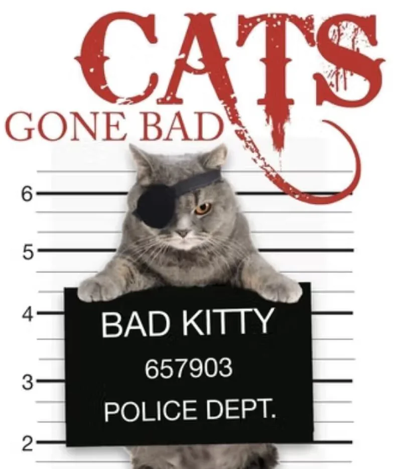 Cats Gone Bad