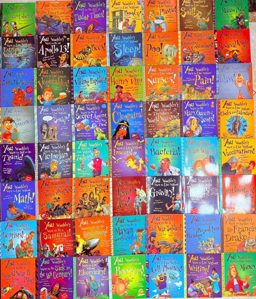 You Wouldn't Want to Be... 系列