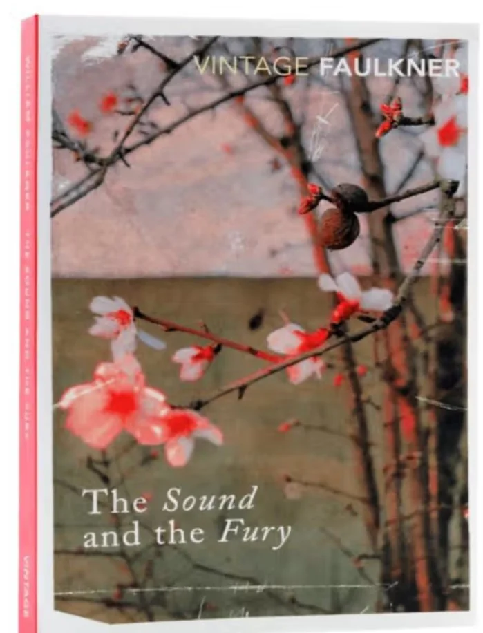 	The Sound and the Fury（《喧哗与骚动》）